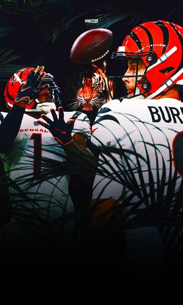 Bengal Tigers